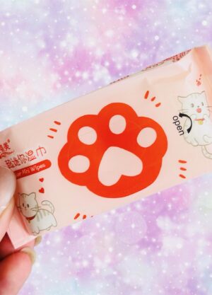 Mini pack Toallitas KAWAI